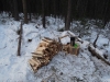 sem2012-018.jpg