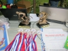 Файл=velokrk2014-318.JPG
Объём=175KB
Размеры=1200x900
Дата=Авг 05, 2014 velokrk2014-318.JPG