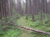 Файл=velomtb2014-0901.JPG
Объём=381KB
Размеры=1200x900
Дата=Июль 21, 2014 velomtb2014-0901.JPG