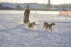 Файл=world_snow_day_2013-39.JPG
Объём=171KB
Размеры=1200x799
Дата=Янв 22, 2013 world_snow_day_2013-39.JPG