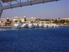 Файл=Морской_тусняг.JPG
Объём=55KB
Размеры=640x480
Дата=Янв 09, 2007 Морской_тусняг.JPG