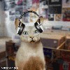 Файл=1168376150_beta203.gif
Объём=196KB
Размеры=280x280
Дата=Фев 06, 2007 1168376150_beta203.gif