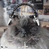 Файл=1168376461_beta215.gif
Объём=215KB
Размеры=280x280
Дата=Фев 06, 2007 1168376461_beta215.gif