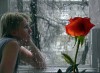 Файл=32084.jpg
Объём=66KB
Размеры=450x329
Дата=Дек 05, 2006 32084.jpg