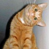 Файл=stopme_ru_58_0_20060924_9740_8.jpg
Объём=11KB
Размеры=400x400
Дата=Фев 06, 2007 stopme_ru_58_0_20060924_9740_8.jpg