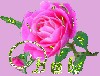 5cb953be7c6f3d6e54ab66f46950a60b.gif