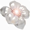 65cf2f1e54707b9a84528a9363a45152.gif