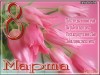 Файл=198martab.jpg
Объём=52KB
Размеры=400x300
Дата=Март 08, 2007 198martab.jpg