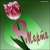 Файл=248marttaa.jpg
Объём=39KB
Размеры=400x400
Дата=Март 08, 2007 248marttaa.jpg
