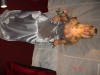 Файл=DSC03495.JPG
Объём=1652KB
Размеры=3072x2304
Дата=Окт 25, 2006 DSC03495.JPG