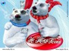 Файл=02~0.jpg
Объём=232KB
Размеры=1024x768
Дата=Окт 31, 2006 02~0.jpg