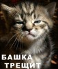 Файл=37.jpg
Объём=48KB
Размеры=384x451
Дата=Нояб 04, 2006 37.jpg
