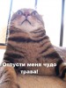Файл=5.wmv
Объём=987KB
Размеры=0x0
Дата=Нояб 07, 2006 5.wmv