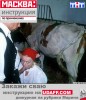 Файл=d05c035eb1_0817.jpg
Объём=148KB
Размеры=350x406
Дата=Нояб 04, 2006 d05c035eb1_0817.jpg