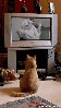 1168199153_katzenporno.gif