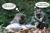 bild_15.jpg