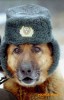 Файл=kleine016.jpg
Объём=41KB
Размеры=366x570
Дата=Нояб 19, 2006 kleine016.jpg