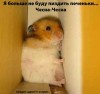 stopme_ru_58_0_20061008_10088_2.jpg