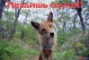 Файл=1166347286_40851330.jpg
Объём=142KB
Размеры=490x332
Дата=Дек 30, 2006 1166347286_40851330.jpg