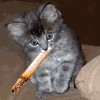 Файл=avatarka_ru_gif_088.gif
Объём=26KB
Размеры=100x100
Дата=Апр 20, 2007 avatarka_ru_gif_088.gif