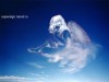 Файл=angel.jpg
Объём=163KB
Размеры=1024x768
Дата=Март 08, 2007 angel.jpg