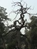 DSC03605.JPG