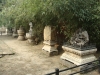 DSC03607.JPG