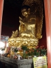 Файл=DSC03640.JPG
Объём=407KB
Размеры=1200x1600
Дата=Окт 16, 2010 DSC03640.JPG