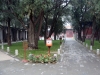 DSC03765.JPG
