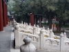 DSC03770.JPG