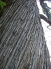 Файл=DSC03776.JPG
Объём=585KB
Размеры=1200x1600
Дата=Окт 20, 2010 DSC03776.JPG