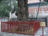 DSC03782.JPG