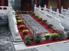 DSC03799.JPG