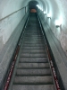 Файл=DSC04008.JPG
Объём=290KB
Размеры=1200x1600
Дата=Окт 26, 2010 DSC04008.JPG