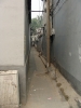 DSC04019.JPG
