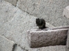 Файл=DSC04120.JPG
Объём=493KB
Размеры=1600x1200
Дата=Окт 27, 2010 DSC04120.JPG