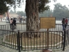 Файл=DSC04268.JPG
Объём=559KB
Размеры=1600x1200
Дата=Окт 30, 2010 DSC04268.JPG