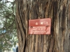 Файл=DSC04270.JPG
Объём=430KB
Размеры=1600x1200
Дата=Окт 30, 2010 DSC04270.JPG