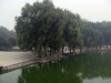 Файл=DSC04379.JPG
Объём=351KB
Размеры=1600x1200
Дата=Нояб 03, 2010 DSC04379.JPG