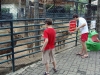 Файл=DSC05590.jpg
Объём=356KB
Размеры=1024x768
Дата=Май 03, 2012 DSC05590.jpg