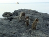 Файл=DSC06327.jpg
Объём=231KB
Размеры=1024x768
Дата=Май 08, 2012 DSC06327.jpg