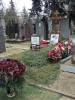 Файл=DSC07199.JPG
Объём=372KB
Размеры=768x1024
Дата=Дек 28, 2012 DSC07199.JPG