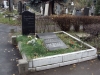 Файл=DSC07254.JPG
Объём=303KB
Размеры=1024x768
Дата=Дек 28, 2012 DSC07254.JPG