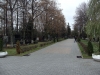 Файл=DSC07267.JPG
Объём=309KB
Размеры=1024x768
Дата=Дек 28, 2012 DSC07267.JPG