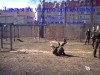 Файл=PICT0062_сл.jpg
Объём=48KB
Размеры=640x480
Дата=Апр 22, 2007 PICT0062_сл.jpg