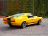 Файл=autowp_ru_mustang_gt500_-eleanor-_1.jpg
Объём=252KB
Размеры=1024x768
Дата=Май 24, 2008 autowp_ru_mustang_gt500_-eleanor-_1.jpg
