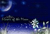 Файл=Копия_(3)_Копия_Копия_Копия_Без_имени-1.jpg
Объём=157KB
Размеры=907x624
Дата=Окт 01, 2007 Копия_(3)_Копия_Копия_Копия_Без_имени-1.jpg