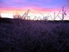 IMG_0011~0.JPG