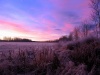 IMG_0013.JPG