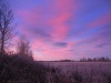 IMG_0019.JPG